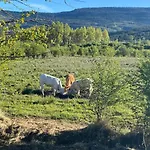Lägenhet En By Family Homes Alcalá de la Selva