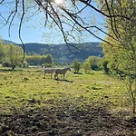 En By Family Homes Lägenhet Alcalá de la Selva