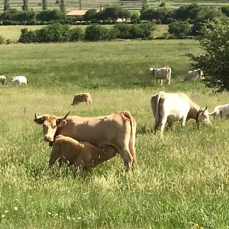 En By Family Homes Alcalá de la Selva