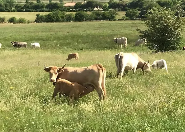 En By Family Homes Alcalá de la Selva